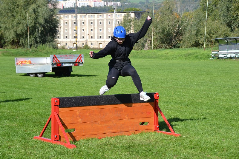 img00195.jpg