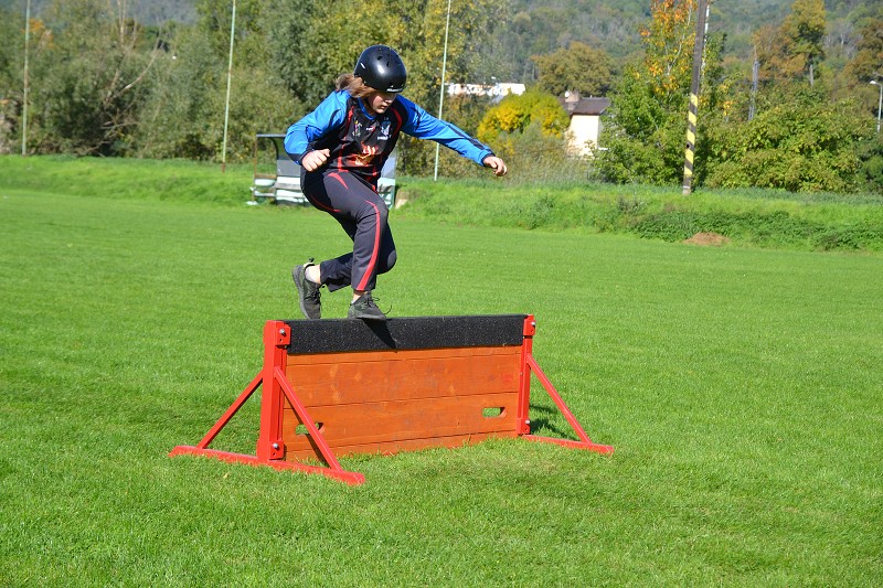 img00226.jpg